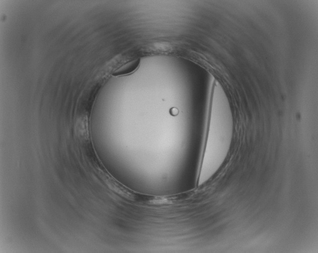 X0000072940425200607210912