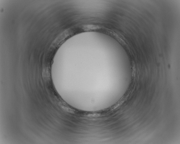 X0000072940426200607210912