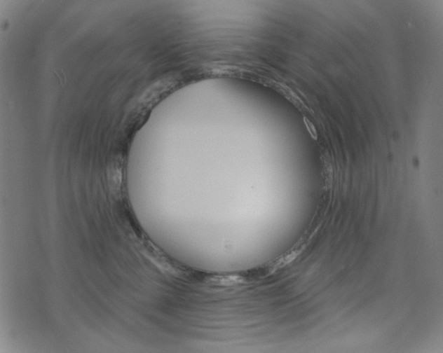 X0000072940427200607210912