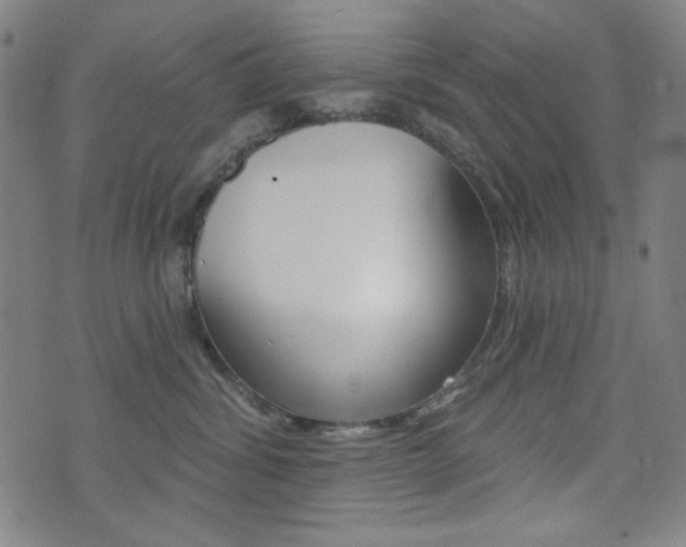 X0000072940428200607210912