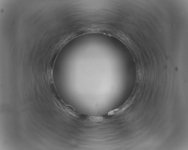 X0000072940429200607210912