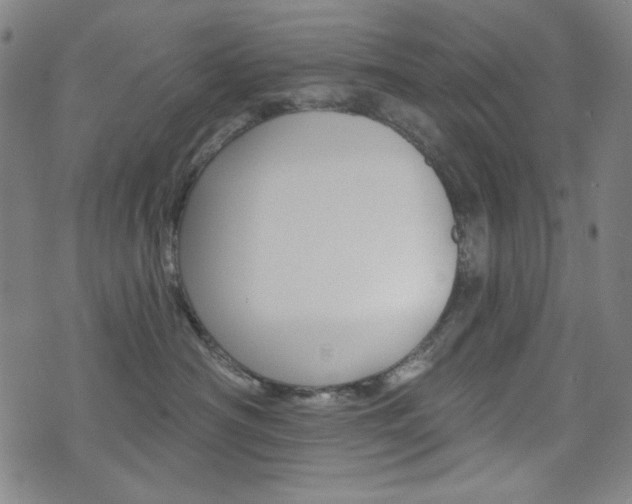 X0000072940430200607210912