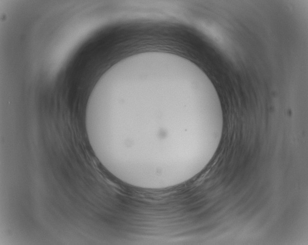 X0000072940431200607210912