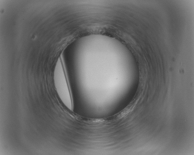 X0000072940432200607210912