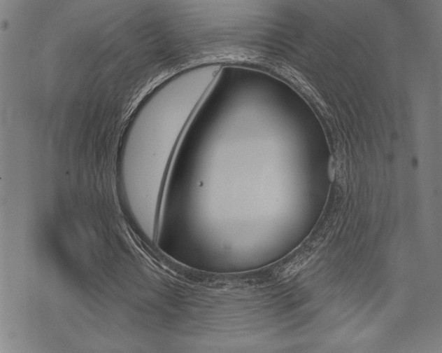 X0000072940434200607210911