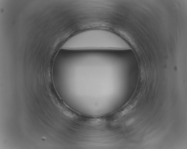 X0000072940453200607210911