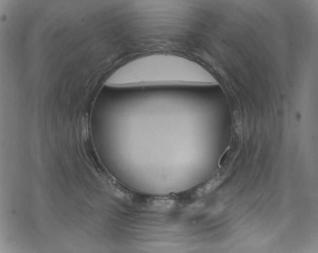 X0000072940471200607210912