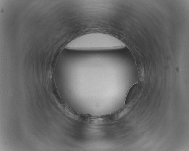 X0000072940472200607210912