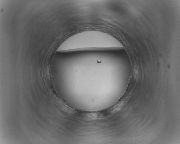 X0000072940473200607210912