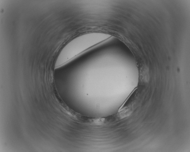 X0000072940474200607210912