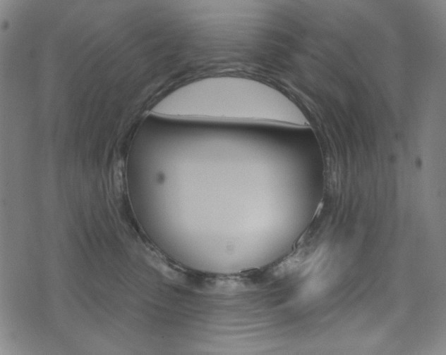 X0000072940475200607210912