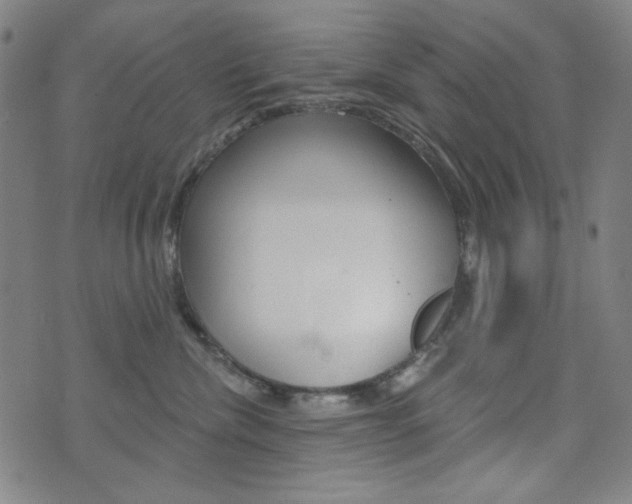 X0000072940476200607210912