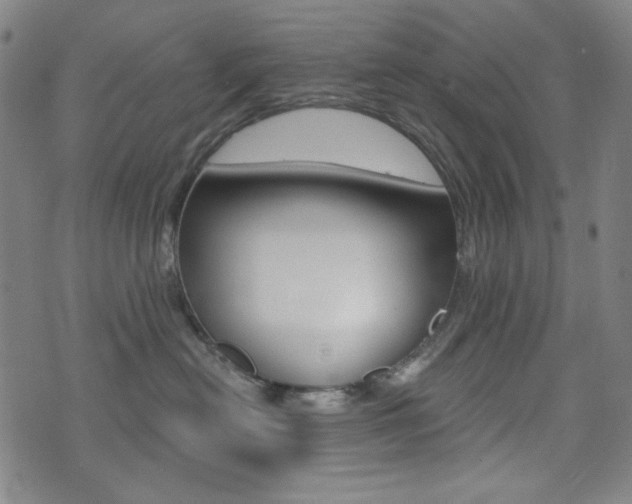 X0000072940478200607210912