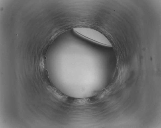 X0000072940479200607210912