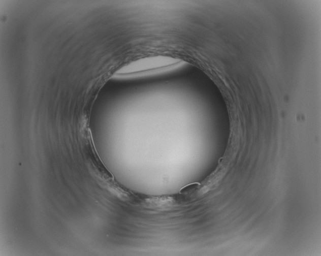 X0000072940480200607210912