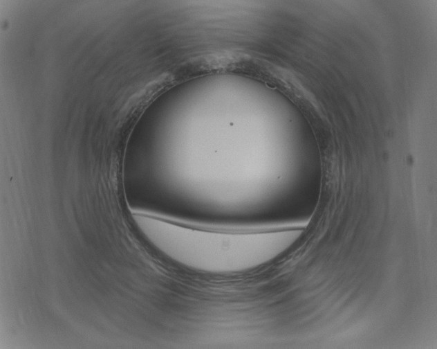 X0000072940505200607210910