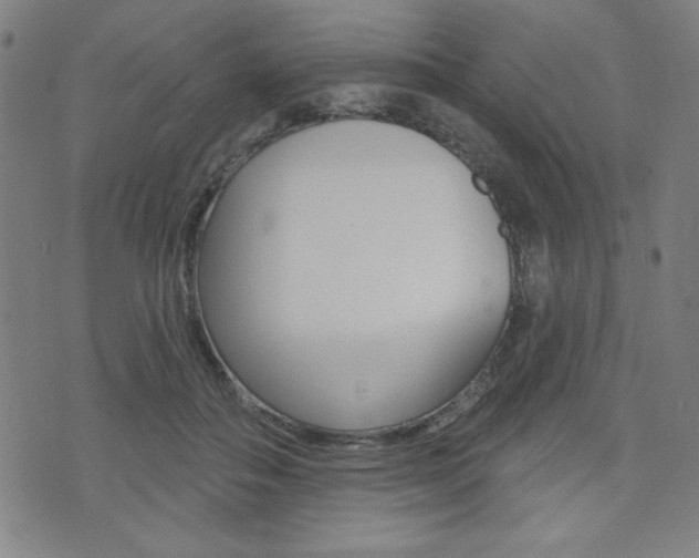 X0000072940506200607210910