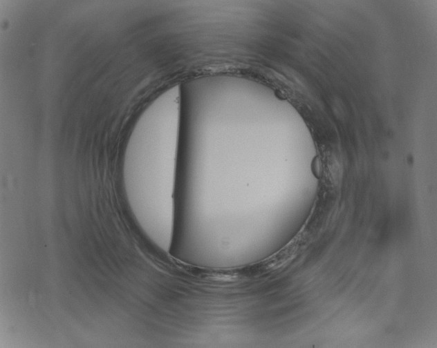 X0000072940507200607210910