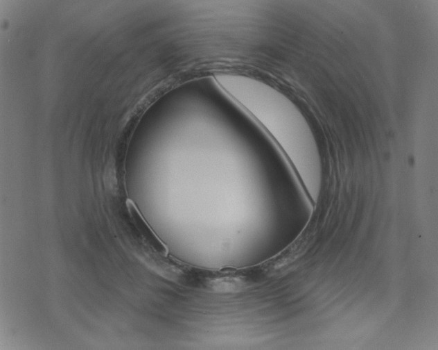 X0000072940508200607210910