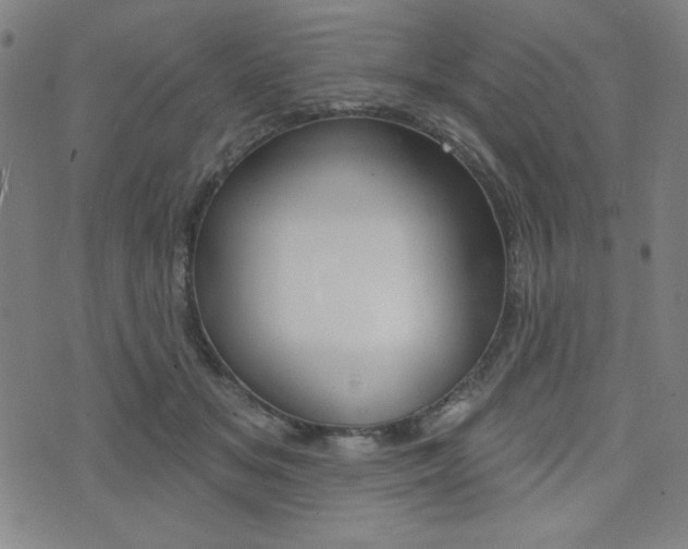 X0000072940509200607210910