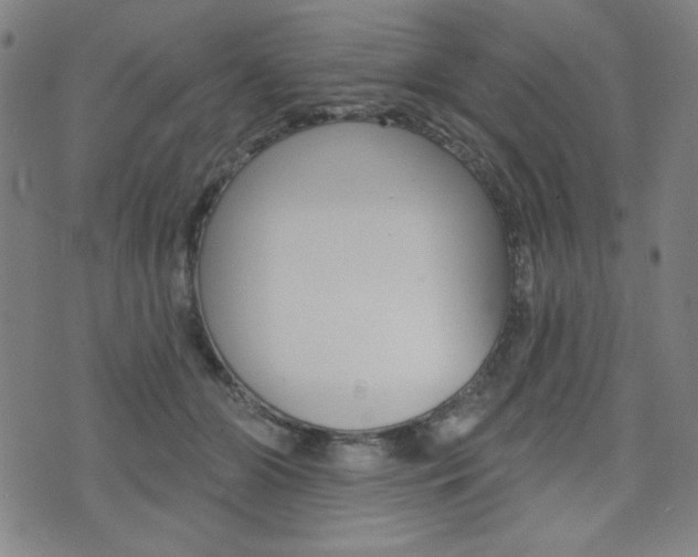 X0000072940510200607210910