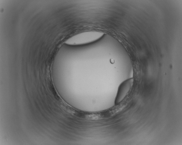 X0000072940511200607210910