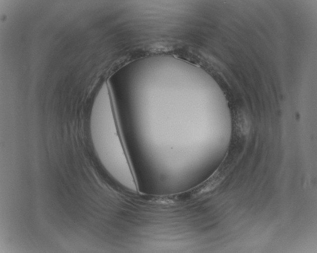 X0000072940512200607210910