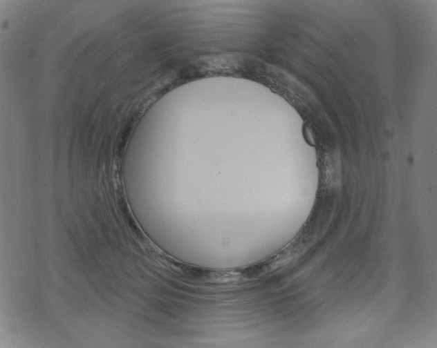 X0000072940514200607210910