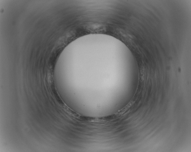 X0000072940515200607210910