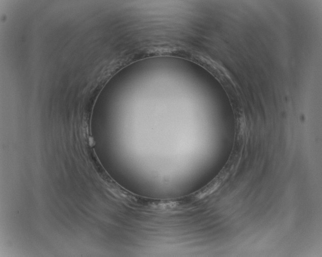 X0000072940517200607210910