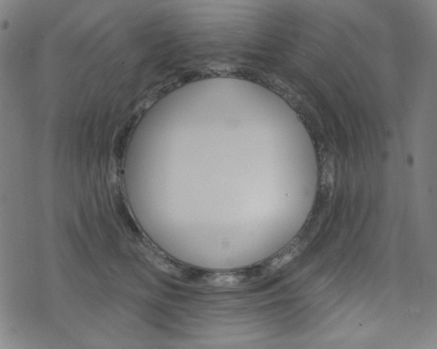 X0000072940518200607210910