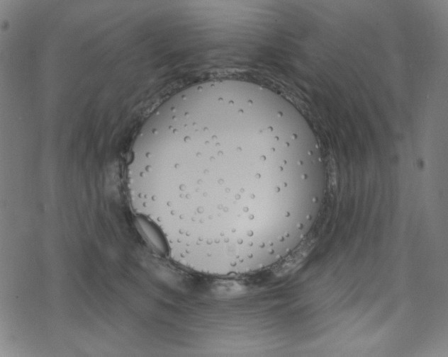 X0000072940519200607210910