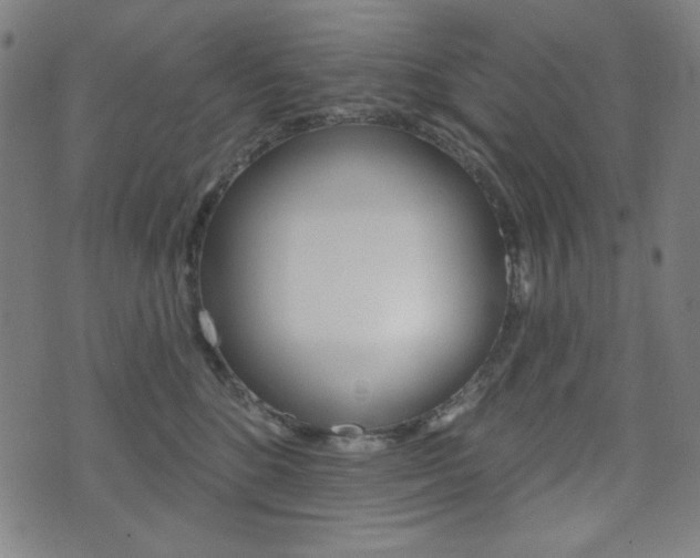 X0000072940520200607210910