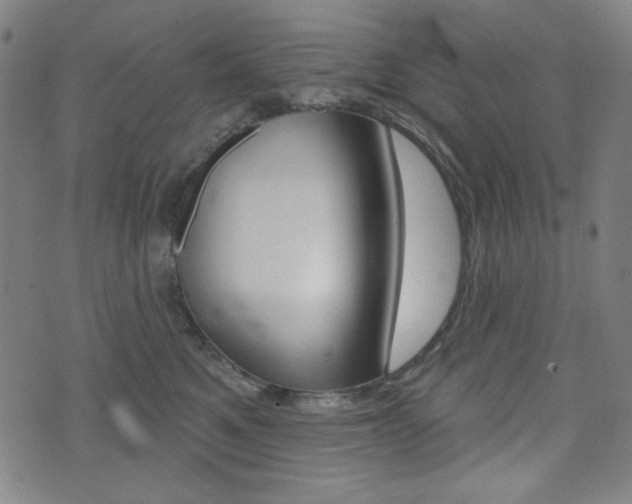 X0000072940521200607210910