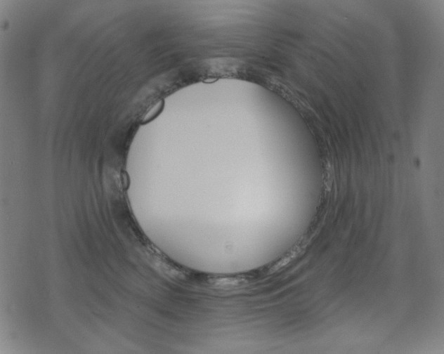 X0000072940522200607210910