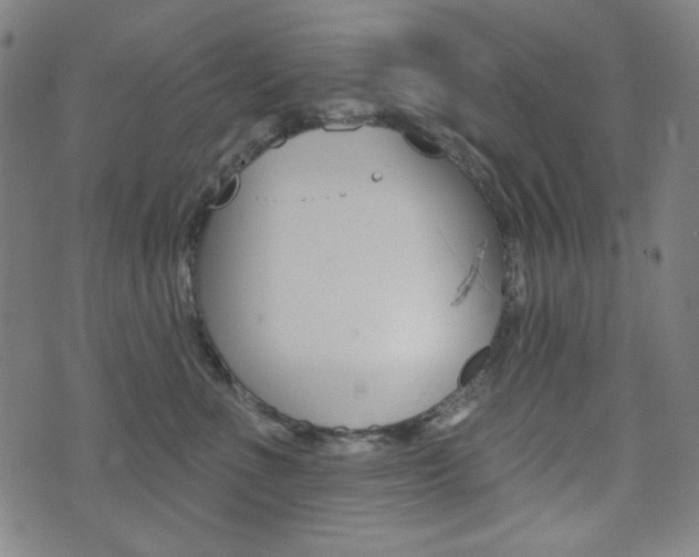 X0000072940523200607210910