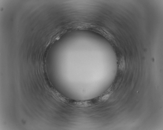 X0000072940524200607210910