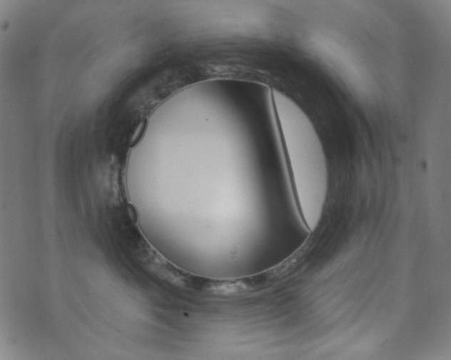 X0000072940525200607210910