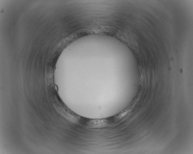 X0000072940526200607210910