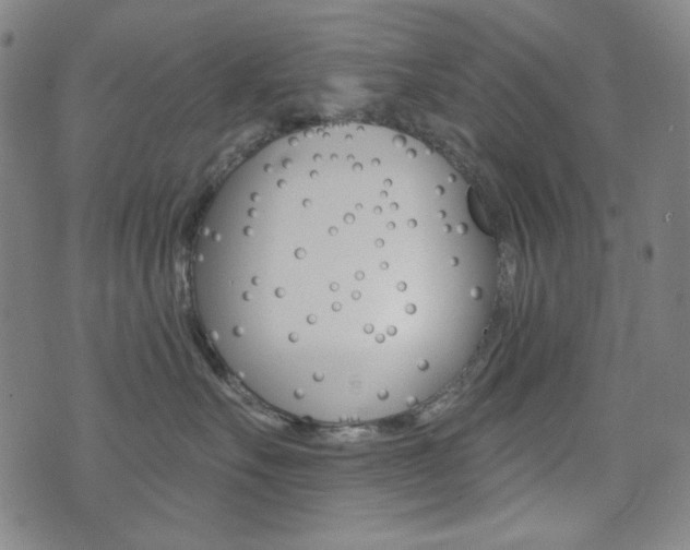 X0000072940527200607210910