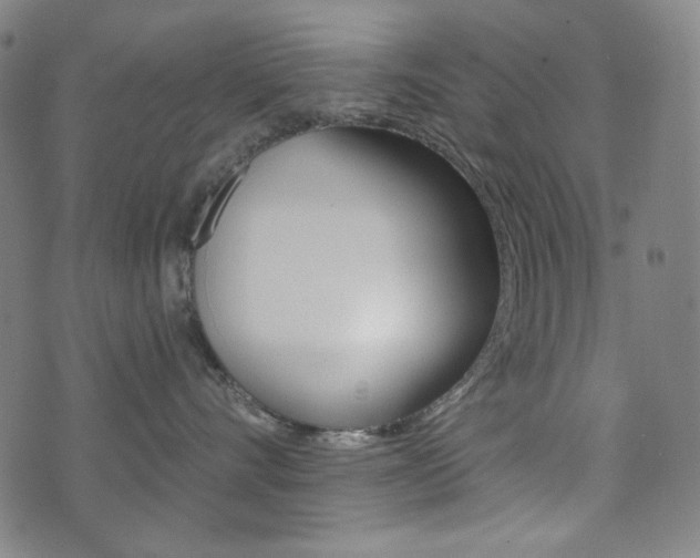 X0000072940528200607210910