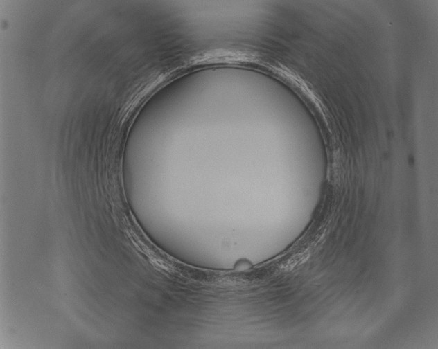 X0000072940529200607210909