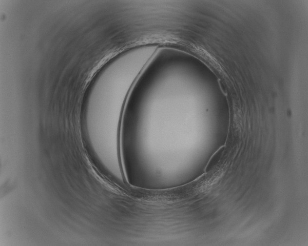 X0000072940530200607210909