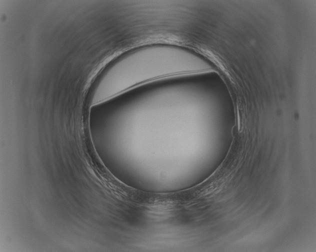 X0000072940531200607210909