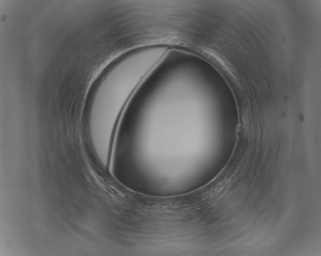 X0000072940532200607210909