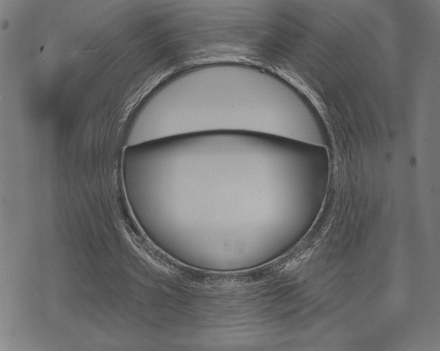 X0000072940533200607210909