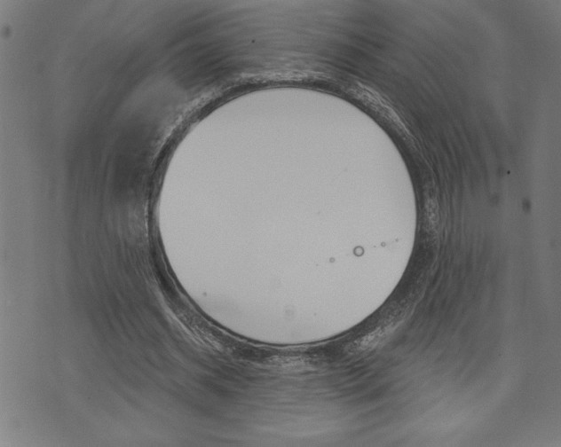 X0000072940534200607210909