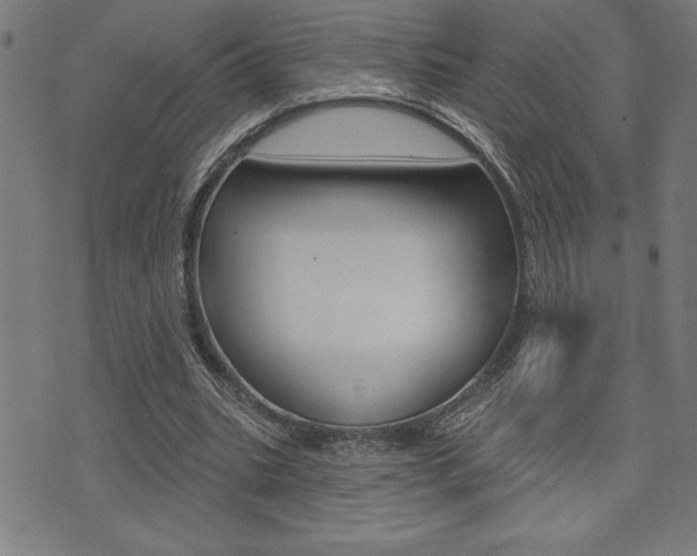 X0000072940535200607210909