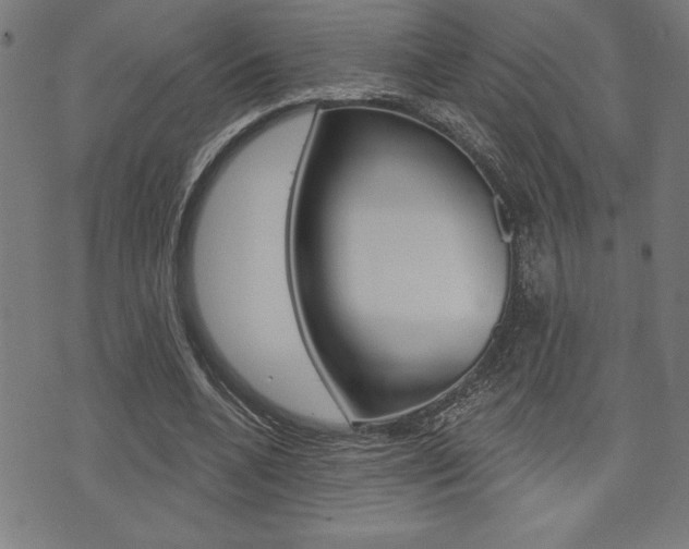 X0000072940536200607210909