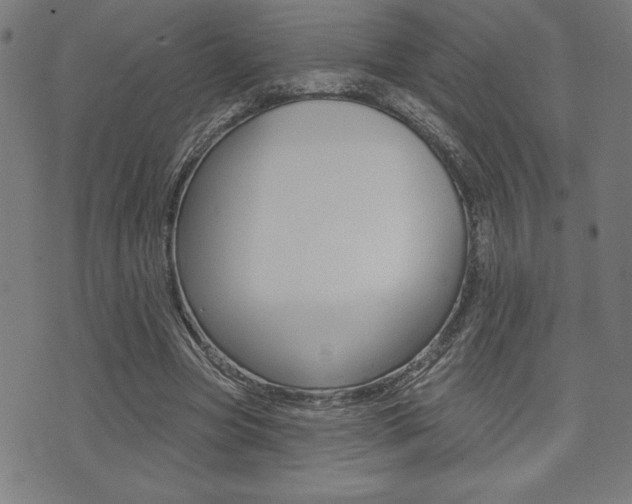 X0000072940537200607210909